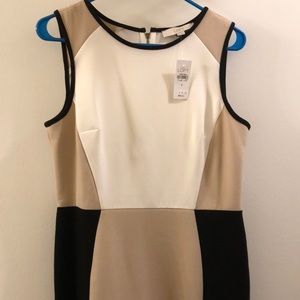 LOFT dress size 6